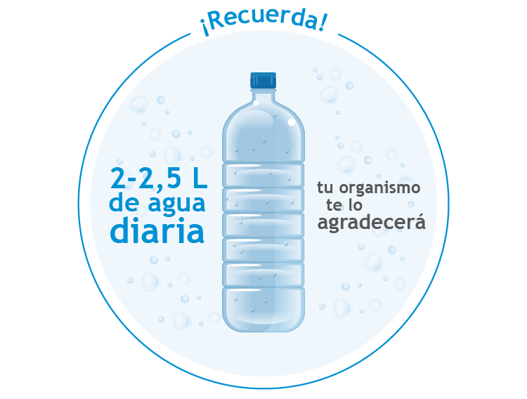 La Importancia del Agua en el Cuerpo Humano