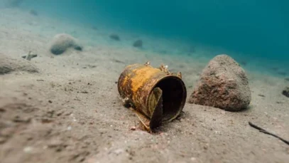 EL MERCURIO EN LOS OCEANOS