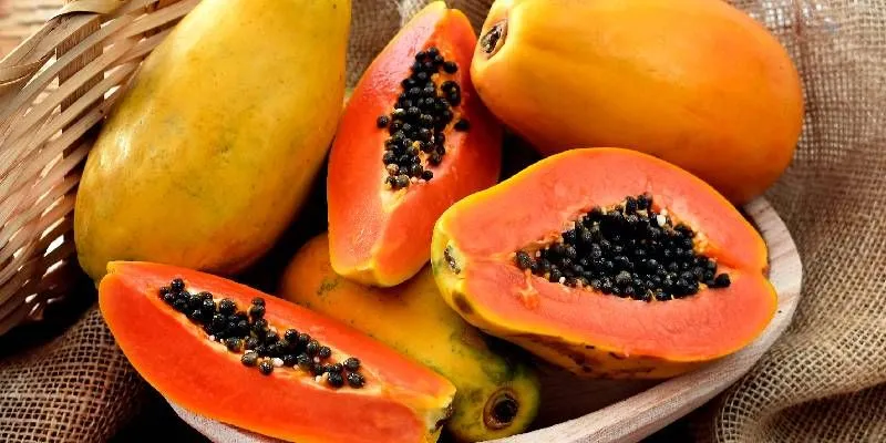 BENEFICIOS DE LA PAPAYA