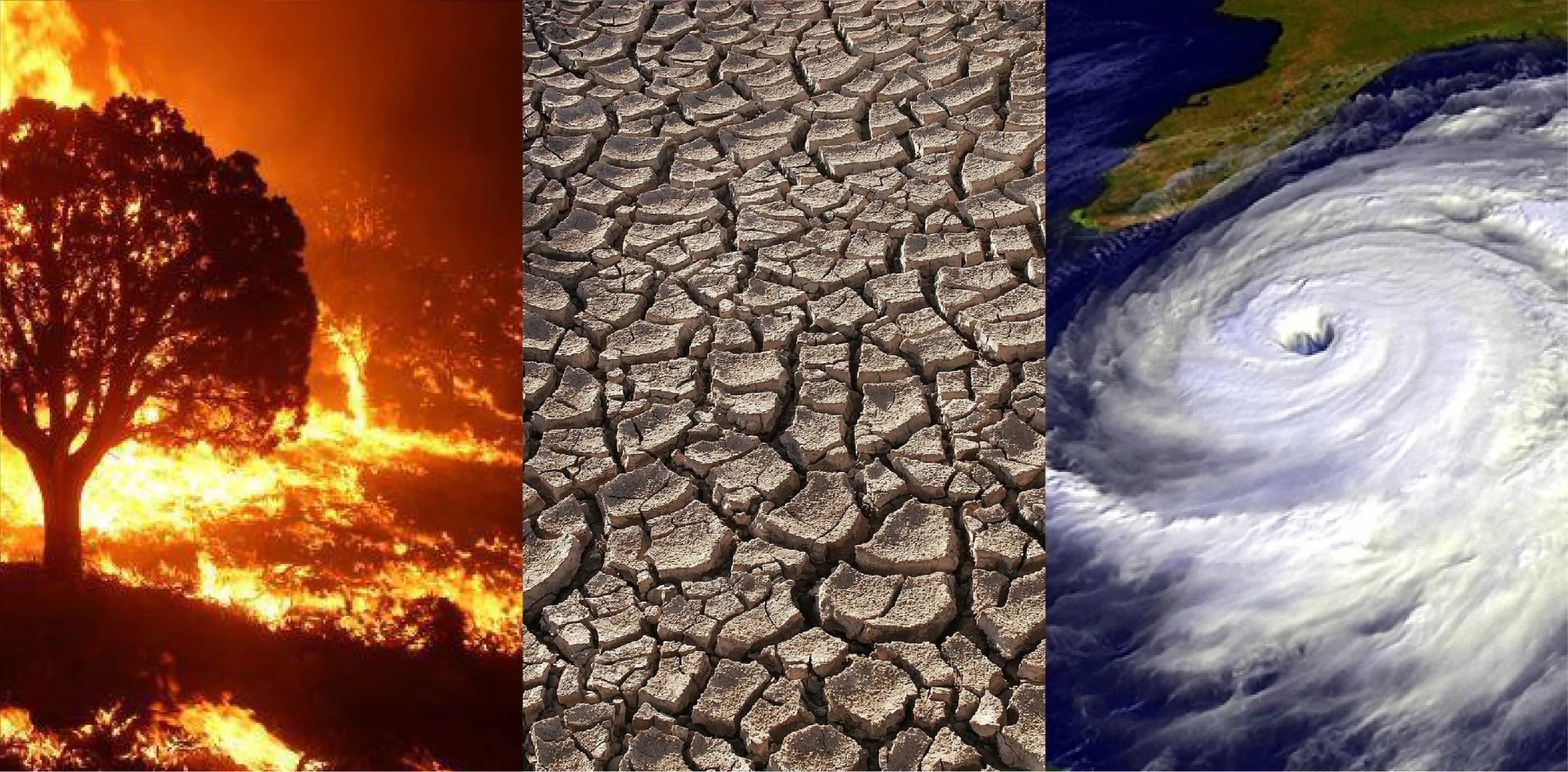 El Cambio Climático y sus Efectos Globales