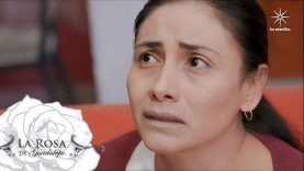 LA MUJER QUE CONSTRUYE MILAGROS | PARTE 1