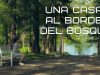 UNA CASA AL BORDE DEL BOSQUE | PELÍCULA COMPLETA